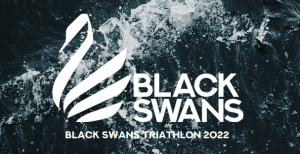 1187-blackswans.png
