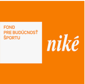 1339-nike.PNG