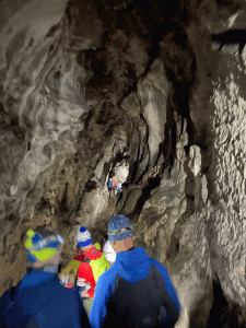 2293-tempimagekljuo5.gif