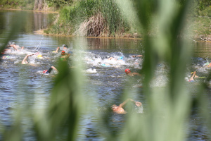 2636-dvory50-plavaniee901384a2.jpeg