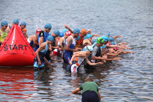 3329-start50-trizilina2025mix-a.jpg